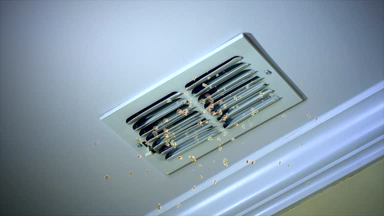 Best Emergency Air Duct Cleaning  in Farmersburg, IN