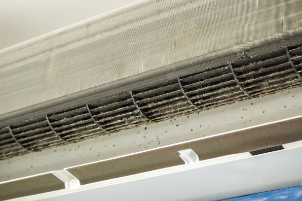 Best Best Air Duct Cleaning Company  in Farmersburg, IN